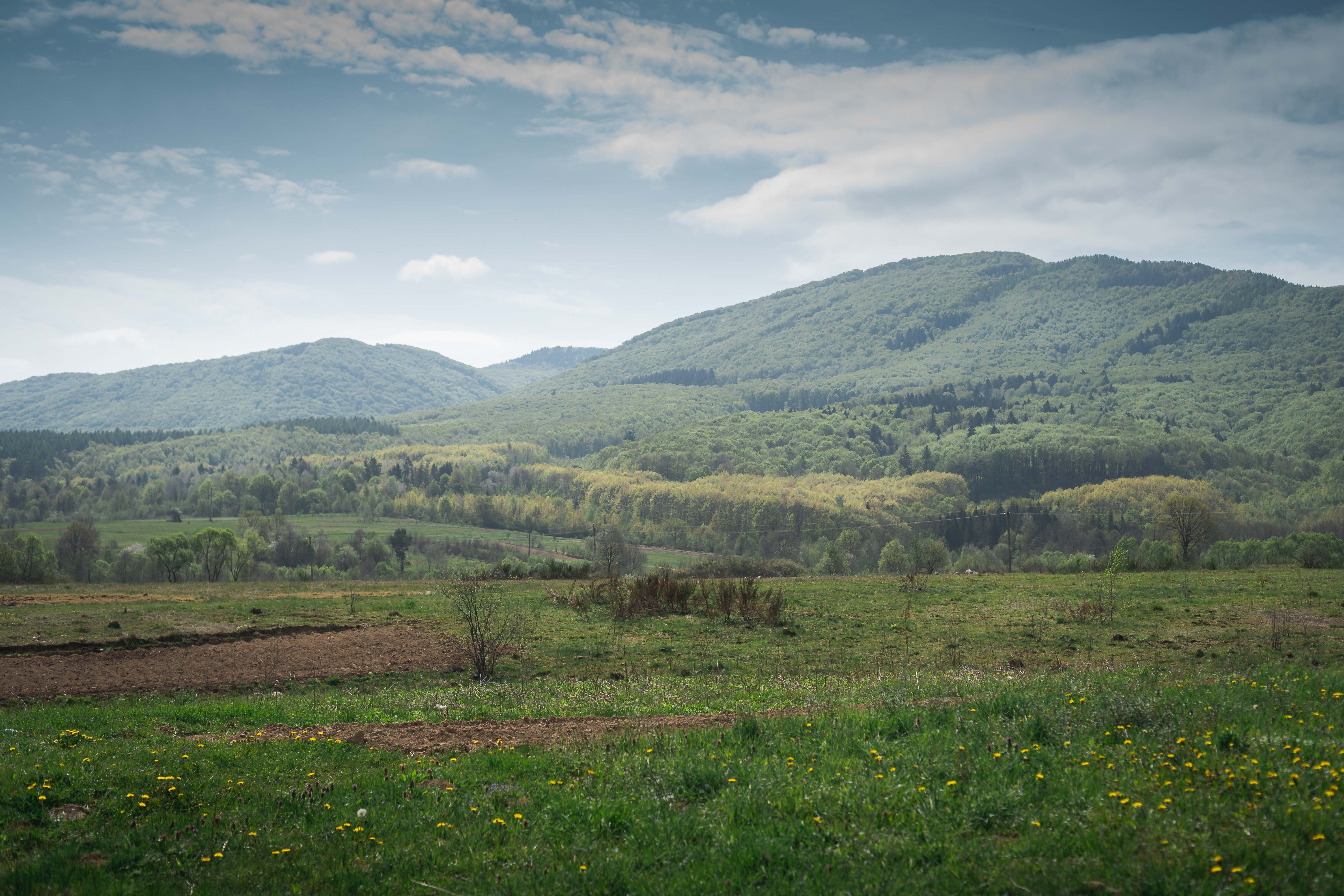 Ukrainian Carpathian Mountains