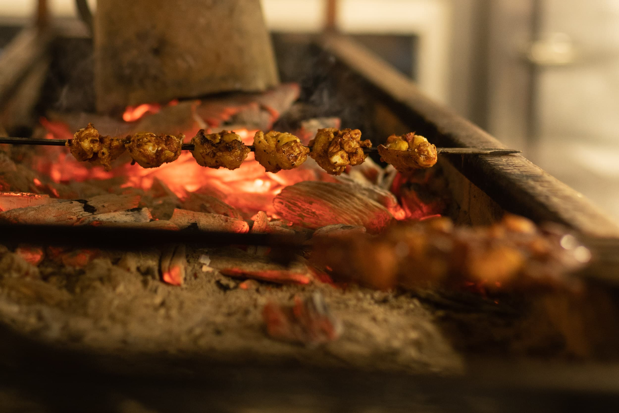 turkish kebabs closeup