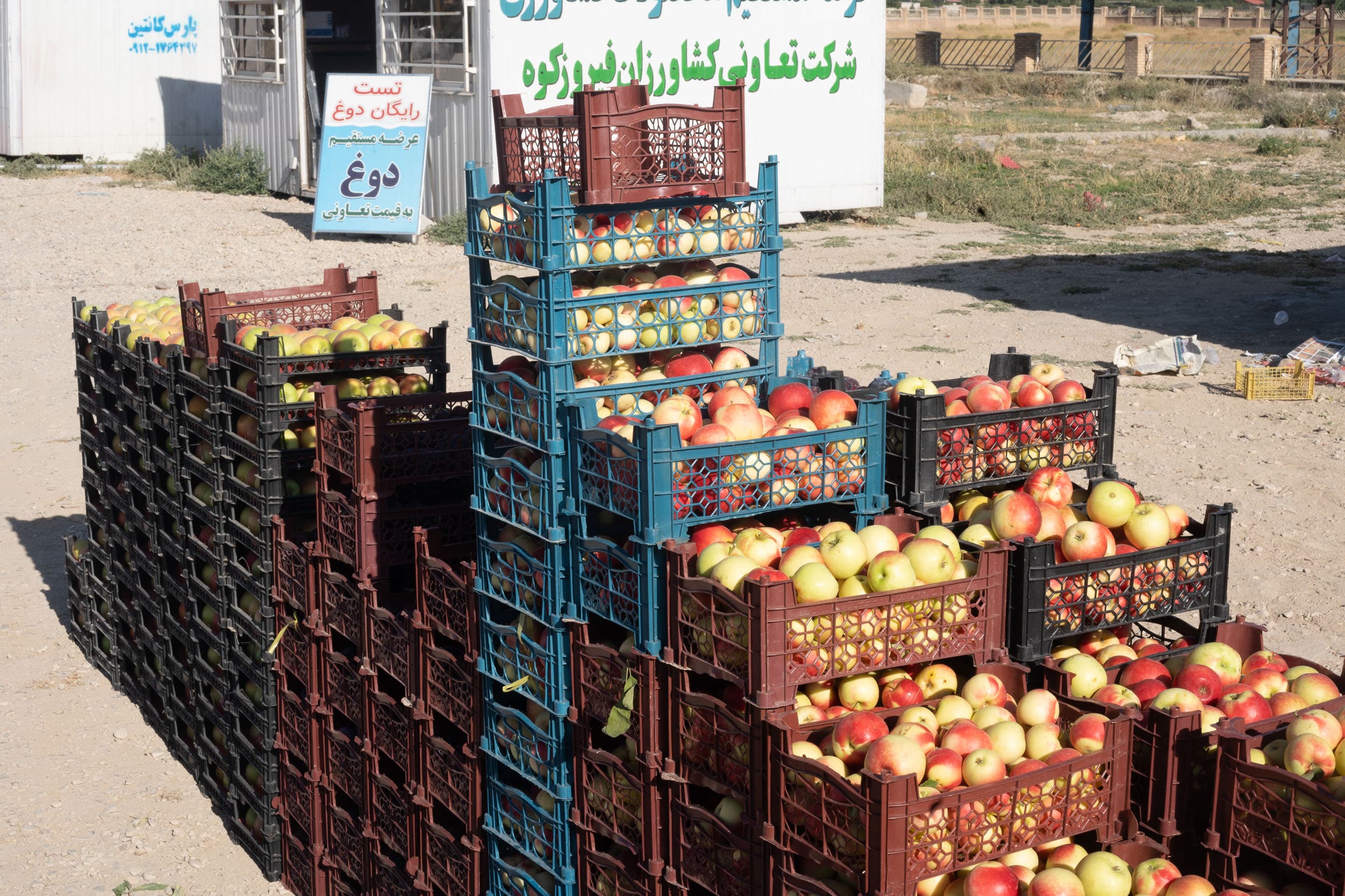 apple vendor iran