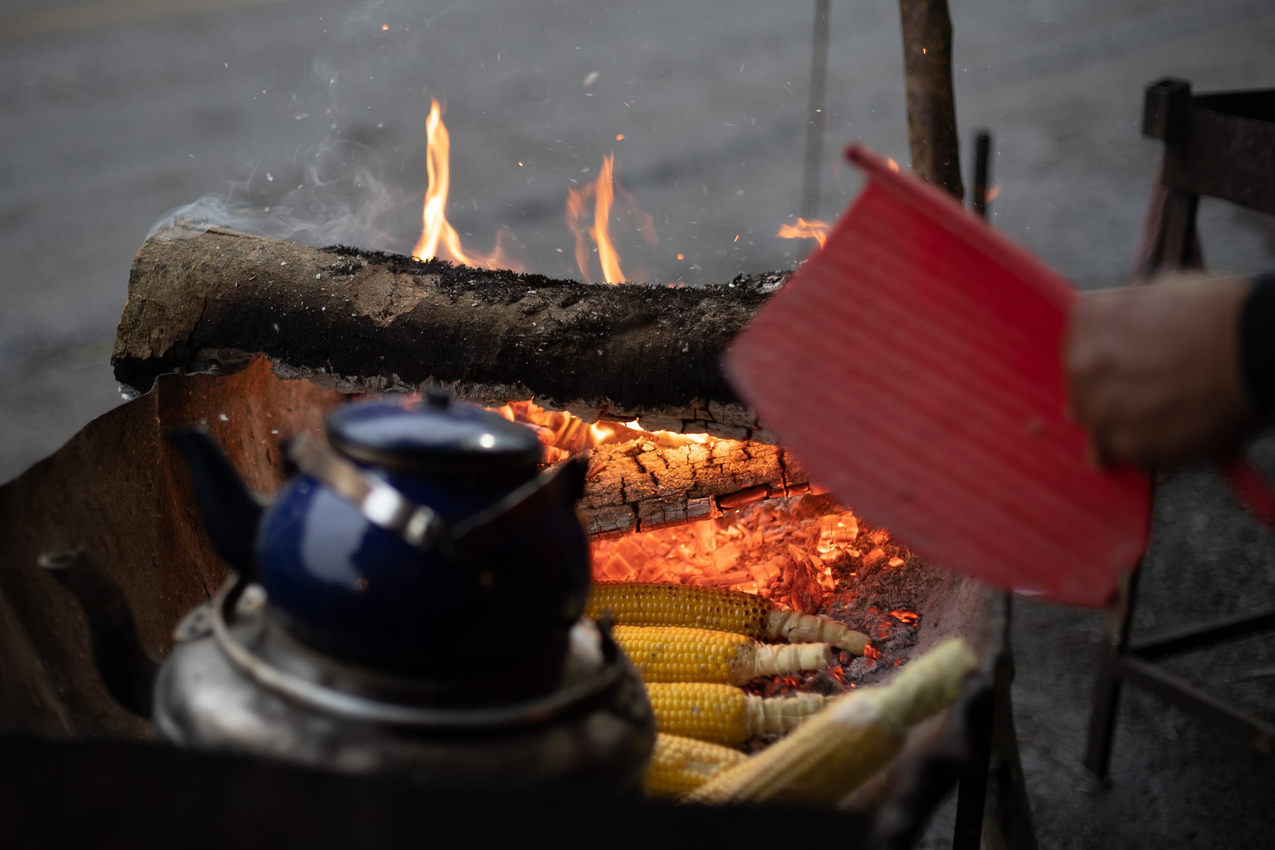 Iranian street food