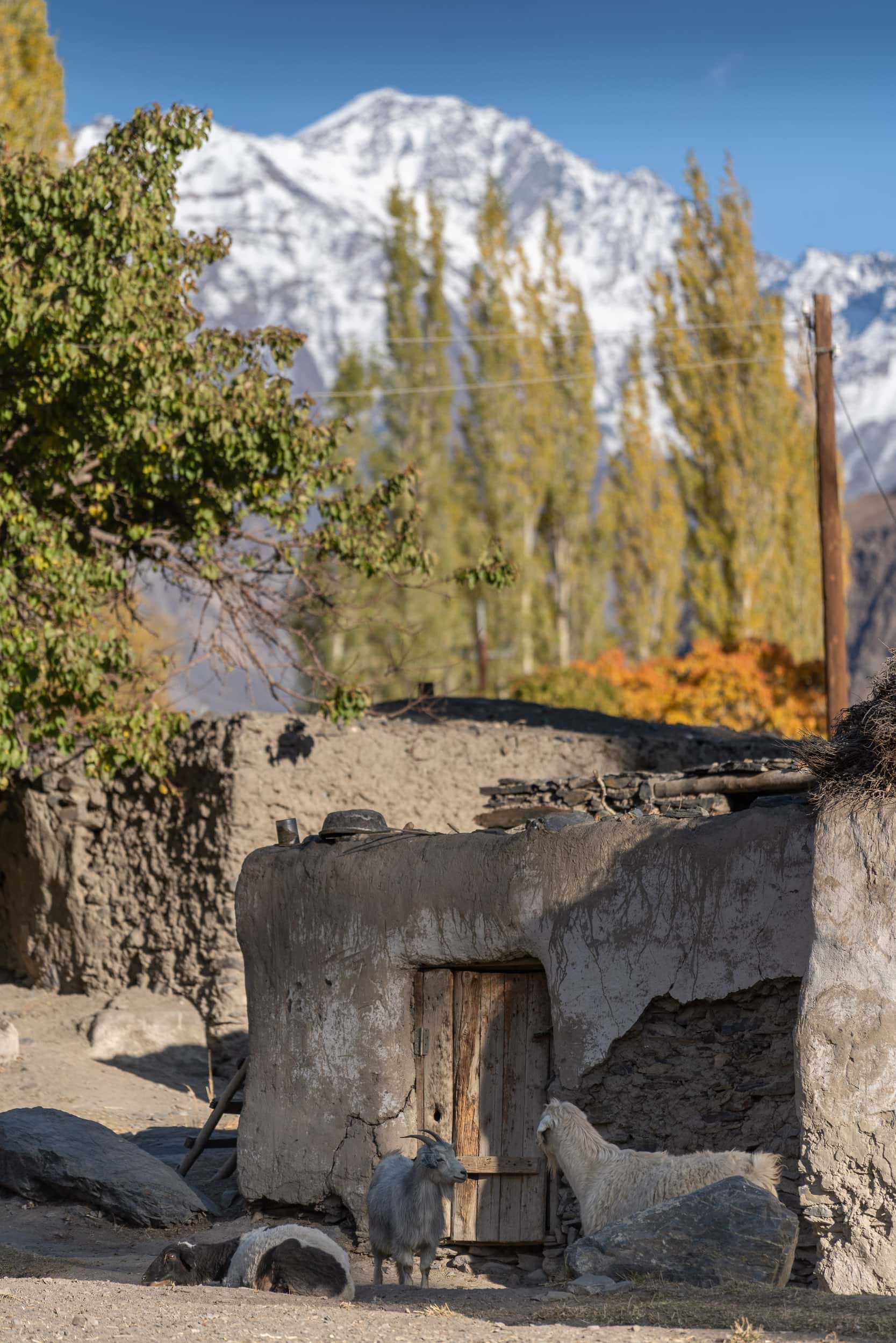 Bartang Valley Village Pamir Highway