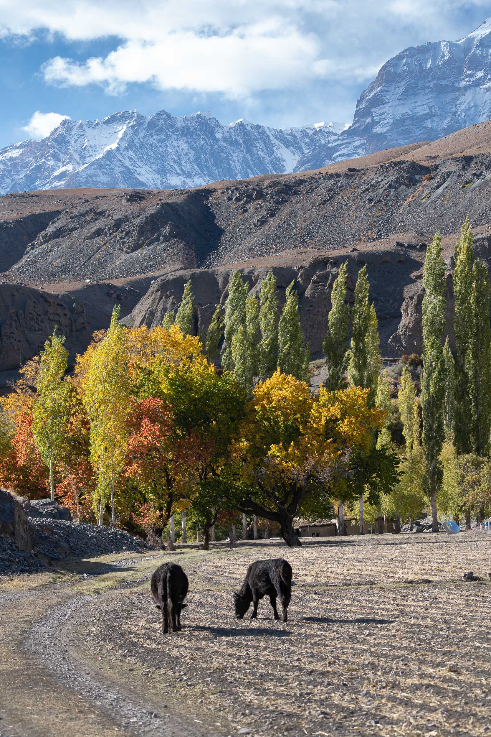 Savnob Bartang Valley