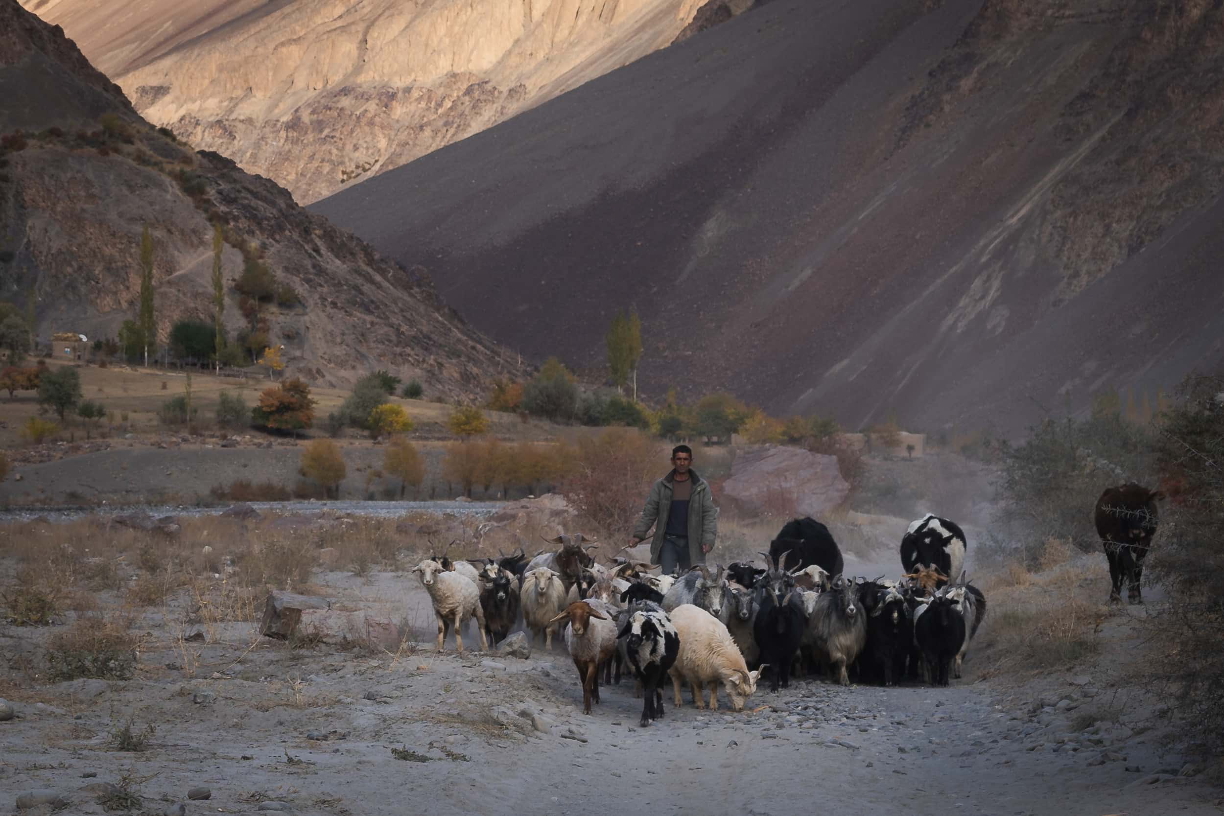 Sheperds Tadjikistan Pamir Highway Bartang Valley