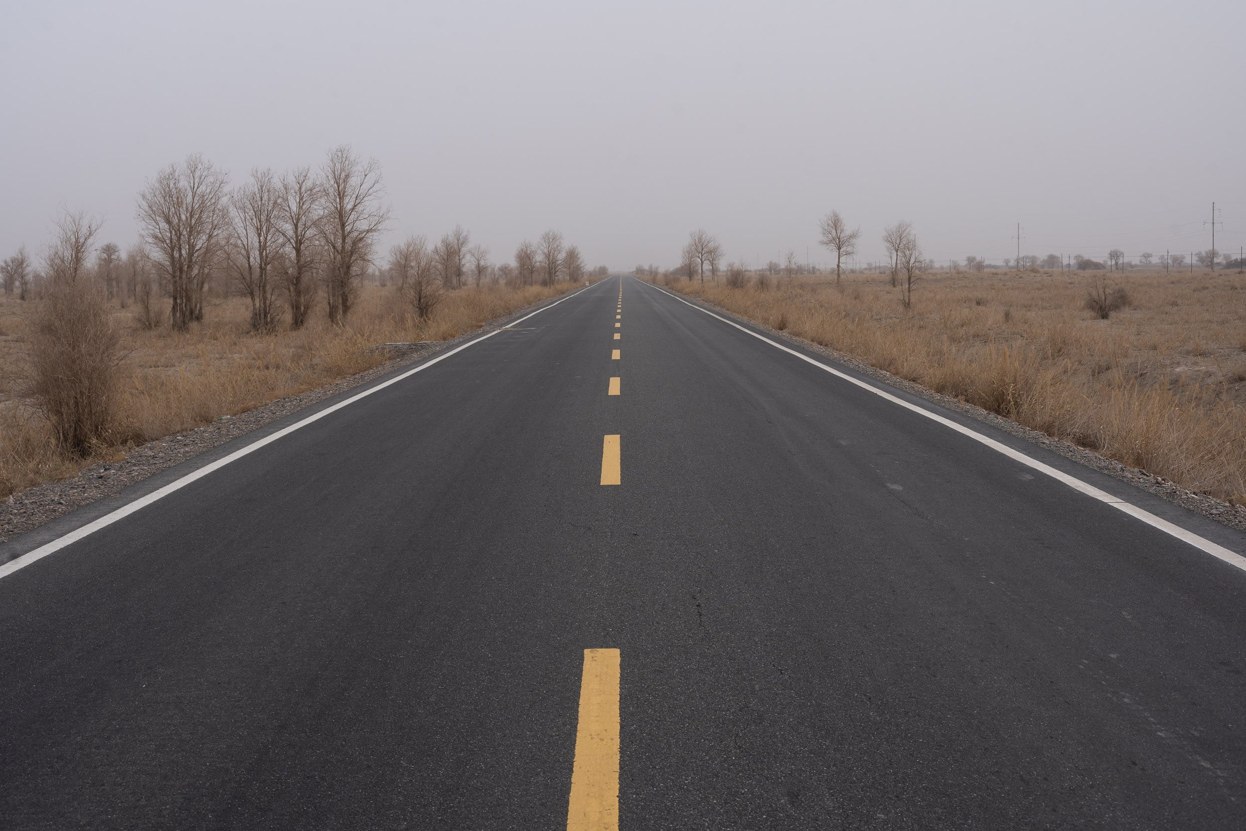 cycling the taklamakan desert