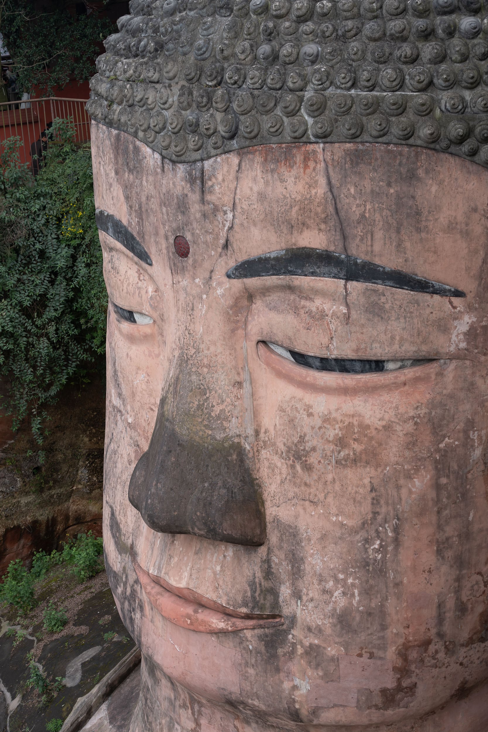 giant buddha head leshan